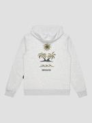 Quiksilver Graphic Kids Hættetrøje grå