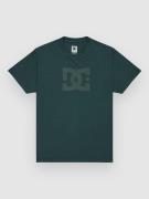 DC Star Pigment Dye T-shirt grøn