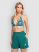 O'Neill Summer Musthave Sweat Shorts grøn