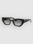 Ray-Ban Zena Black Solbriller sort