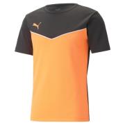 Puma Individualrise Trænings Tshirt Herrer Tøj Orange Xs