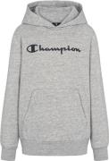 Champion Hooded Sweatshirt Drenge Tøj Grå M