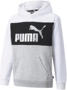 Puma Essentials+ Colourblock Hættetrøje Unisex Tøj Hvid 98