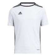 Adidas Entrada 18 Trænings Tshirt Unisex Fodboldsæt & Fodboldtrøjer Hv...