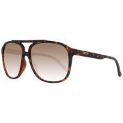 Herre Aviator Solbriller Brun Gradient