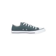 Chuck Taylor All Star Sneakers