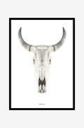 Billede Cow skull