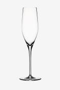 Champagneglas Authentis 19 cl, 4-pak