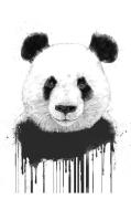 Plakat Graffiti Panda