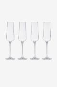 Mischa Billing - Champagneglas 4-pak Mischa - Natur - Vinglas - - Home...