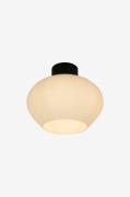 Aneta Lighting - Plafond Bell - Sort - Plafonder - - Homeroom
