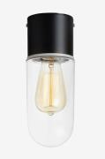 Markslöjd - Loftlampe ZEN, sort metal - Transparent - Loftpendler - - ...