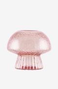 Globen Lighting - Fyrfadsstage Fungo Special Edition - Rosa - Lysestag...