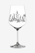 Nachtmann - Vin/Spritz-glas Tattoo Botanical Black 2-pak - Transparent...