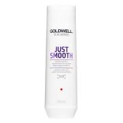 Goldwell Dualsenses Just Smooth Shampoo 250ml