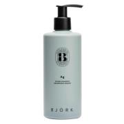 Björk Ag Silver Shampoo 300 ml