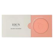 IDUN Minerals Rouge Åkerbär 5,9 g