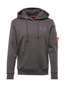 ALPHA INDUSTRIES Sweatshirt  mørkegrå