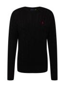 Polo Ralph Lauren Pullover 'Driver'  sort