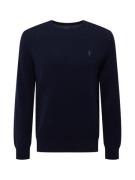 Polo Ralph Lauren Pullover  navy / lyseblå