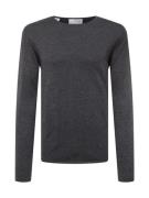 SELECTED HOMME Pullover 'Rome'  grå