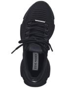 STEVE MADDEN Sneaker low  sort