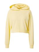 Urban Classics Sweatshirt  lysegul