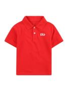 GAP Shirts  rød / hvid