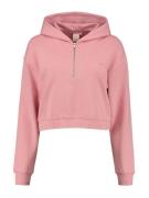 Shiwi Sweatshirt 'QUITO'  gammelrosa