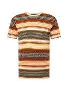 Iriedaily Bluser & t-shirts 'Santo'  brun / blandingsfarvet