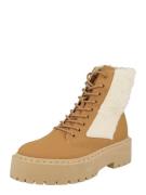 STEVE MADDEN Snørestøvletter 'SKETTLE'  beige / camel