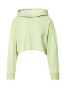 NIKE Sportsweatshirt  lime