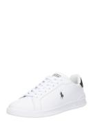 Polo Ralph Lauren Sneaker low  sort / hvid