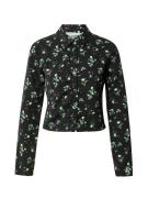 Calvin Klein Jeans Bluse  grøn / sort