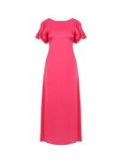 Dorothy Perkins Petite Kjole  fuchsia