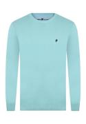 DENIM CULTURE Pullover 'NARCISO'  aqua