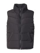 Noisy may Vest 'DALCON'  sort