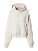 Nike Sportswear Sweatshirt 'ACG'  beige / brun / hvid