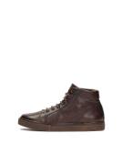 Kazar Sneaker high  brun