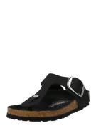 BIRKENSTOCK Klipklappere 'Gizeh Big Buckle'  sort