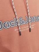 JACK & JONES Sweatshirt 'JJLakewood'  fersken / sort / hvid