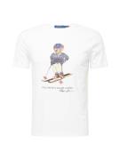 Polo Ralph Lauren Bluser & t-shirts  marin / brun / rød / hvid
