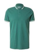 HOLLISTER Bluser & t-shirts  grøn / hvid