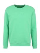 CHIEMSEE Sweatshirt  grøn