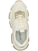 STEVE MADDEN Sneaker low 'Possession'  creme / mørkegul