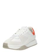 Calvin Klein Sneaker low  orange / hvid / uldhvid