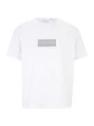 Calvin Klein Big & Tall Bluser & t-shirts  sølvgrå / hvid