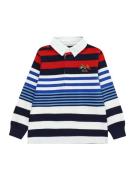 Polo Ralph Lauren Shirts  blå / navy / rød / hvid