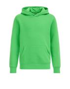 WE Fashion Sweatshirt  grøn