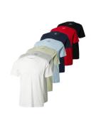 HOLLISTER Bluser & t-shirts  navy / lyseblå / grå-meleret / pastelgrøn...